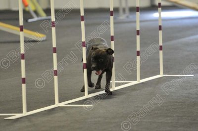 PAW_2285.jpg