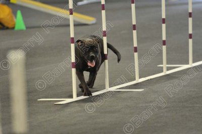 PAW_2286.jpg