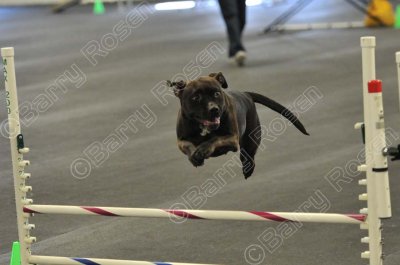 PAW_2287.jpg