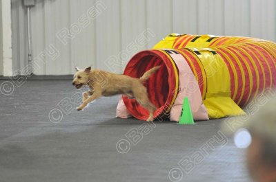 PAW_2289.jpg