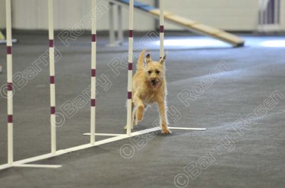 PAW_2290.jpg