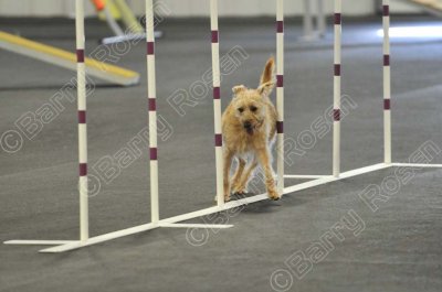 PAW_2291.jpg