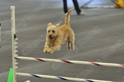 PAW_2293.jpg
