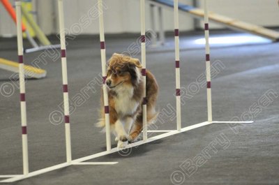 PAW_2296.jpg