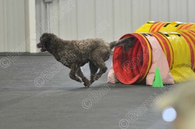 PAW_2300.jpg