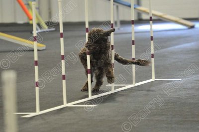 PAW_2302.jpg