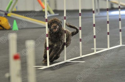 PAW_2303.jpg