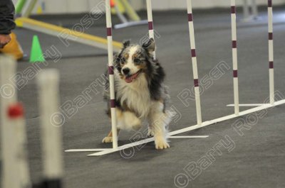 PAW_2307.jpg