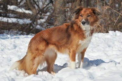 PAW_2123.jpg