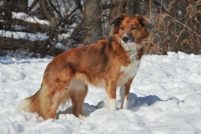 PAW_2124.jpg