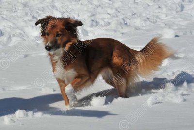PAW_2128.jpg