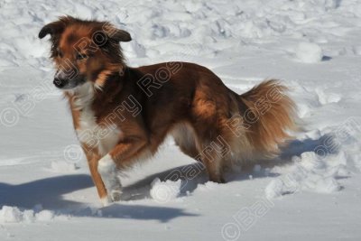PAW_2129.jpg
