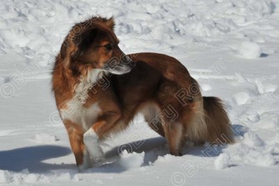 PAW_2131.jpg