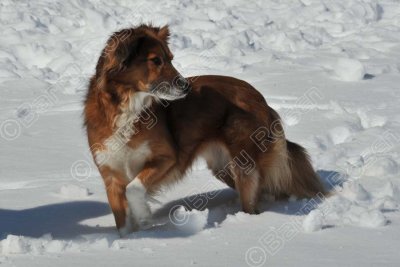 PAW_2132.jpg