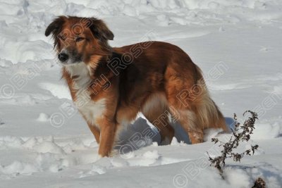 PAW_2133.jpg