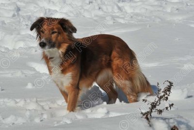 PAW_2134.jpg