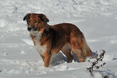 PAW_2135.jpg
