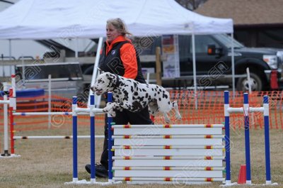 Saturday Novice Standard (5470)