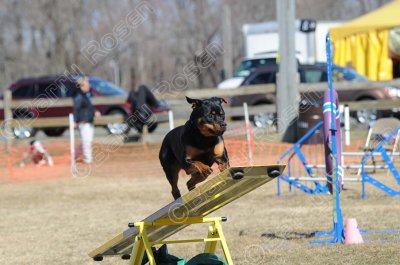 AFG_6295.jpg