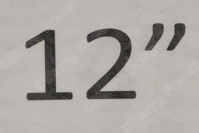 MAS_4313.jpg