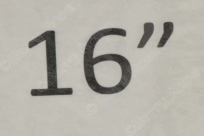 MAS_4339.jpg