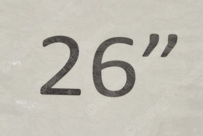 MAS_4412.jpg