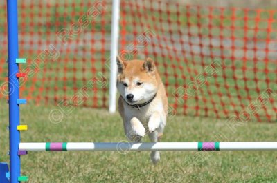 MHK_3201.jpg