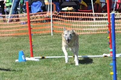 MHK_3342.jpg
