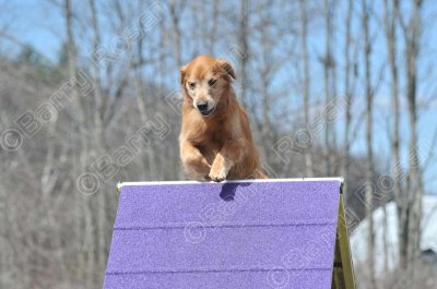 MHK_3772.jpg