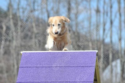MHK_3847.jpg