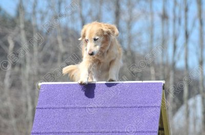 MHK_3848.jpg