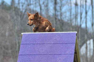 MHK_3856.jpg