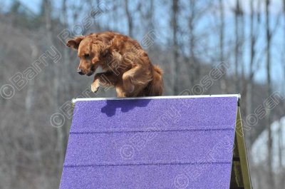 MHK_3857.jpg