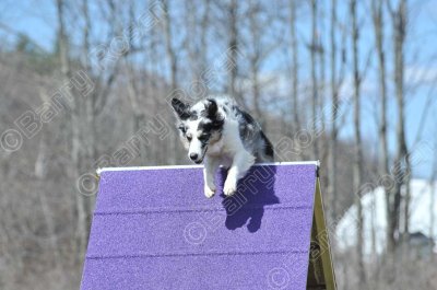 MHK_3910.jpg