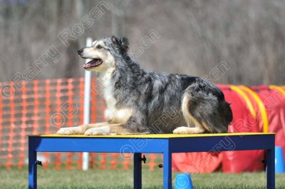 MHK_3941.jpg