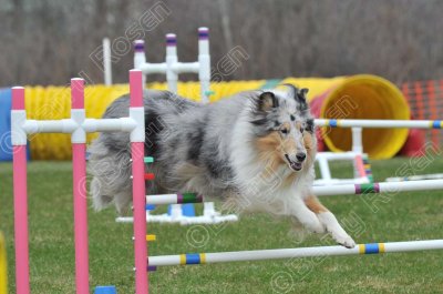 MHK_5700.jpg