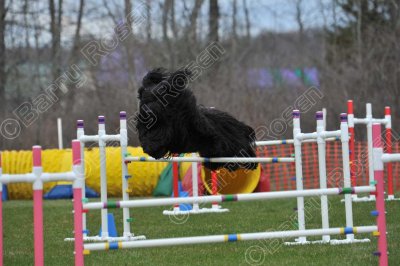 MHK_5758.jpg