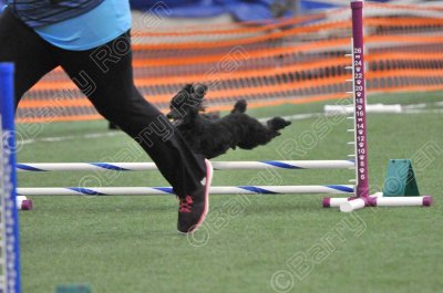 TM5_0531.jpg
