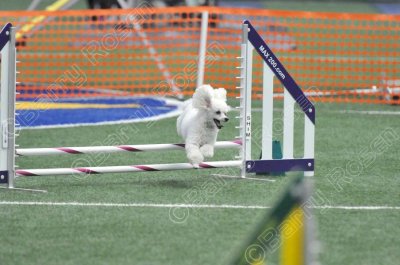TM5_0618.jpg