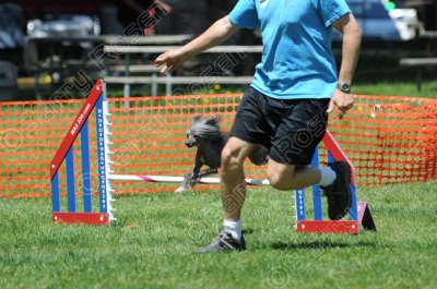 PCN_0781.jpg
