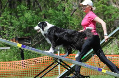 Friday Excellent Standard 26-24-16 inches (1759)
