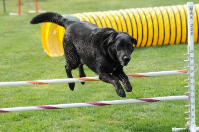 Saturday Jumpers 12 (7974)