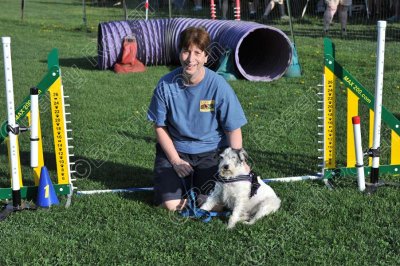 Retired Dog Run