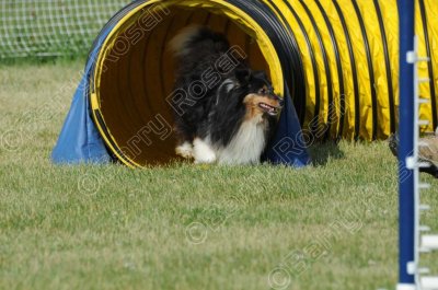STK_0036.jpg