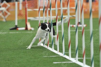 LTT_0310.jpg