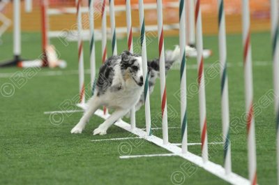 LTT_0461.jpg