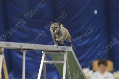 LTT_2387.jpg