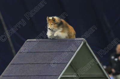 LTT_2470.jpg