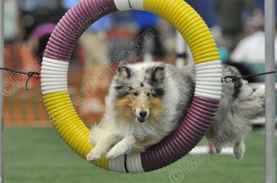 LTT_3332.jpg