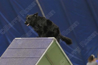 LTT_3353.jpg